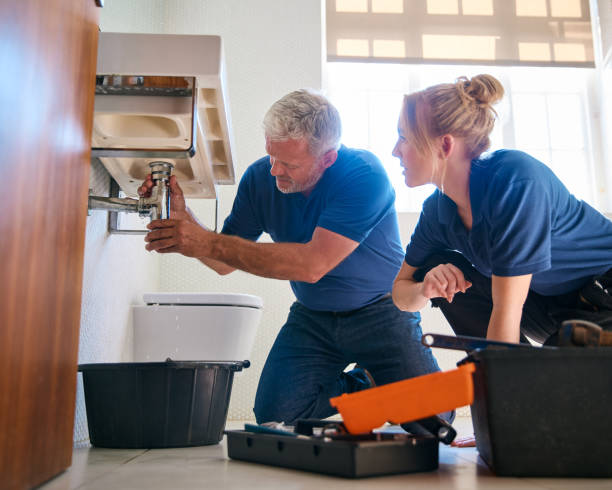 Best Plumbing System Maintenance  in Lester Prairie, MN